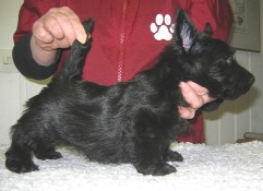 boy one at 7 weeks