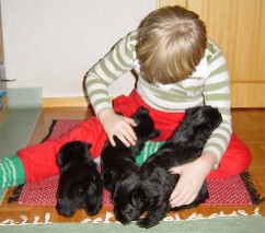 Seidi and the boys